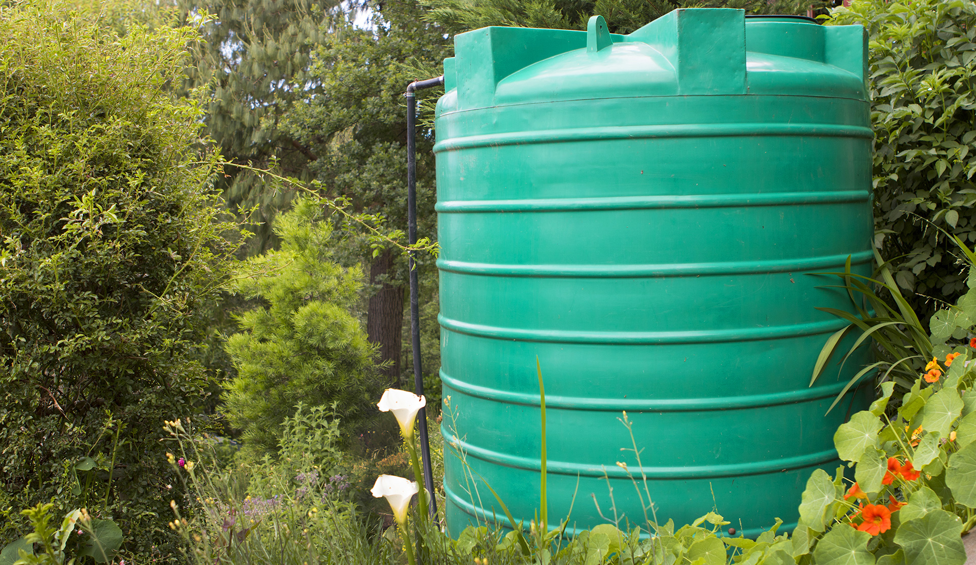 Manfred Schlienz GmbH